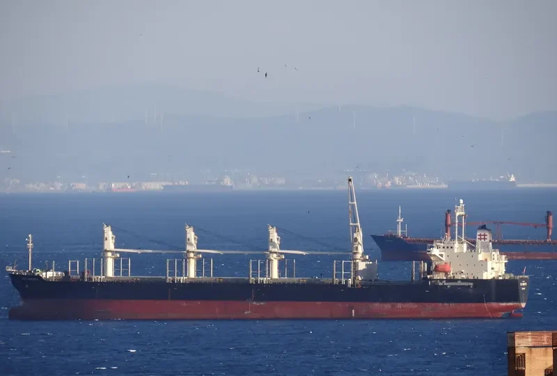 KEN RYU Bulk Carrier IMO 9246293 photo 7