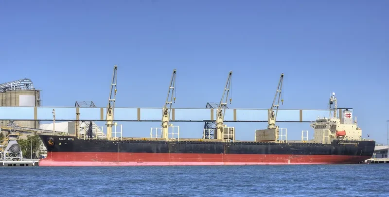 KEN RYU Bulk Carrier IMO 9246293 photo 10