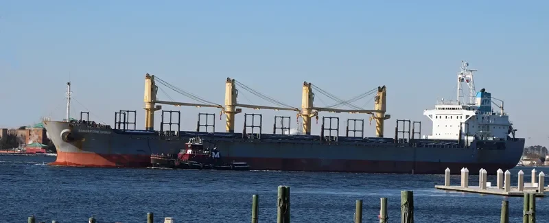 SINGAPORE SPIRIT Bulk Carrier IMO 9246308
