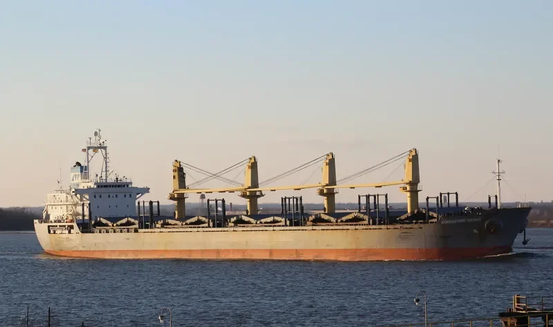 SINGAPORE SPIRIT Bulk Carrier IMO 9246308 photo 5