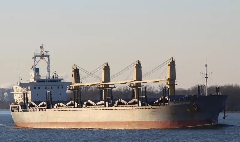 SINGAPORE SPIRIT Bulk Carrier IMO 9246308 photo 6