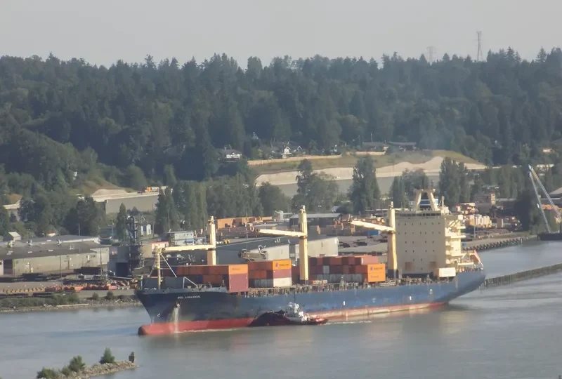 BSL LIMASSOL Container Ship IMO 9246310 photo 6