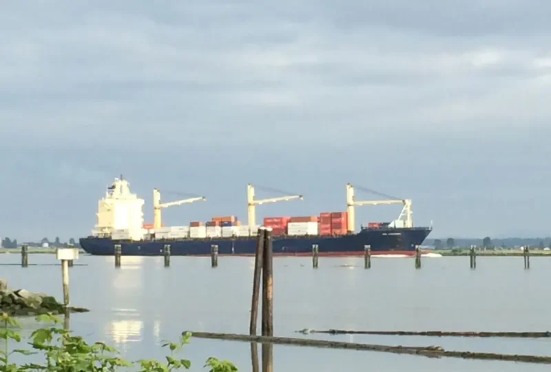 BSL LIMASSOL Container Ship IMO 9246310 photo 7
