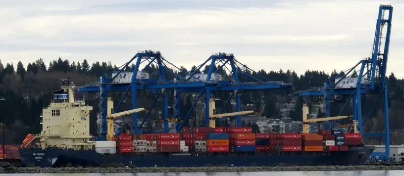 BSL LIMASSOL Container Ship IMO 9246310 photo 9