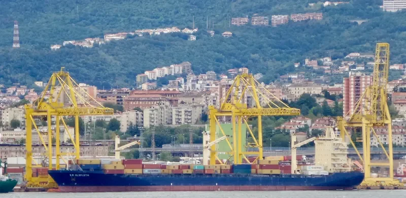 E.R.ELSFLETH Container Ship IMO 9246346