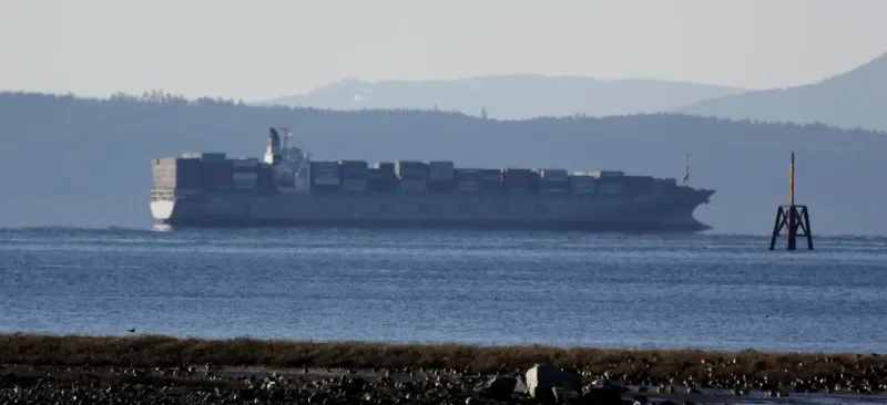 COSCO ANTWERP Container Ship IMO 9246396 photo 6
