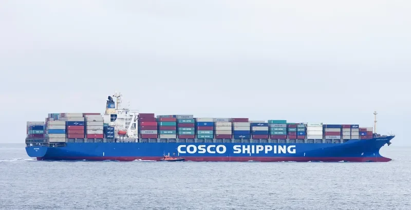 COSCO FELIXSTOWE Container Ship IMO 9246401