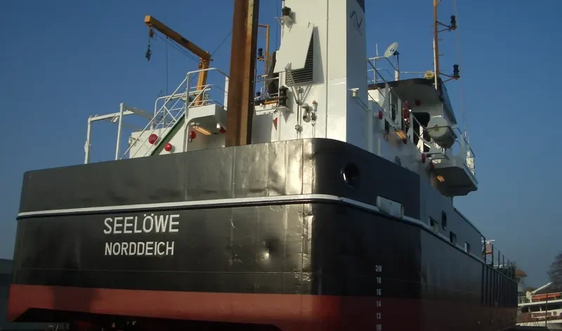 SEELOEWE General Cargo IMO 9246528 photo 7