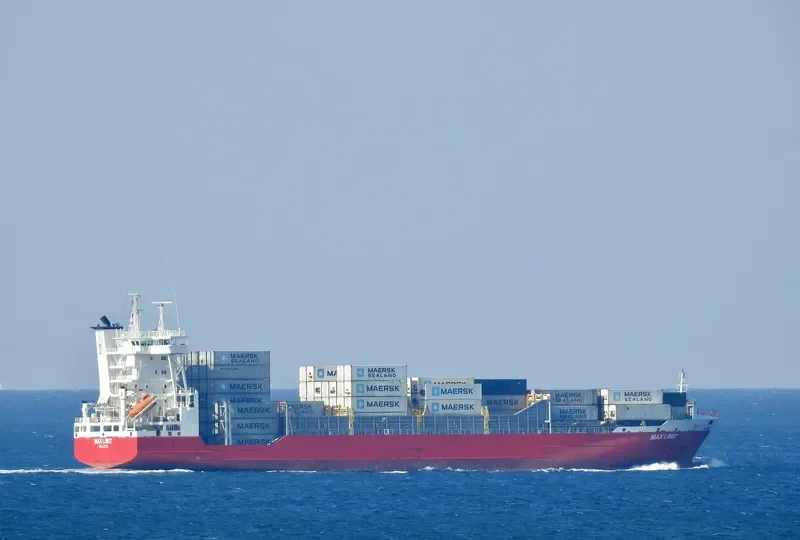 PACIFIC GENEVA Container Ship IMO 9246542 photo 2