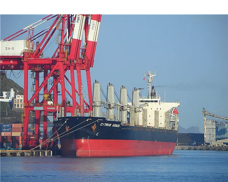 JING SHUN Bulk Carrier IMO 9246841 photo 6