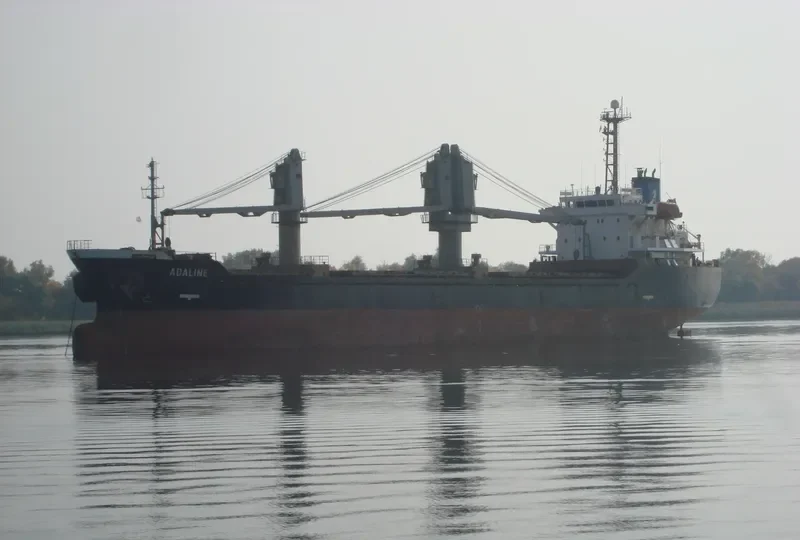 ADALINE Bulk Carrier IMO 9246920 photo 5