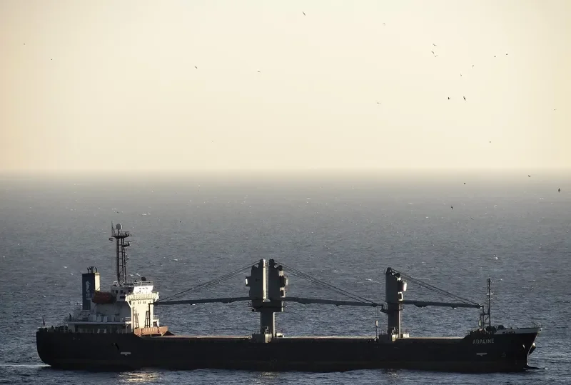 ADALINE Bulk Carrier IMO 9246920 photo 6