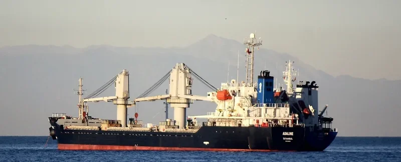 ADALINE Bulk Carrier IMO 9246920 photo 7