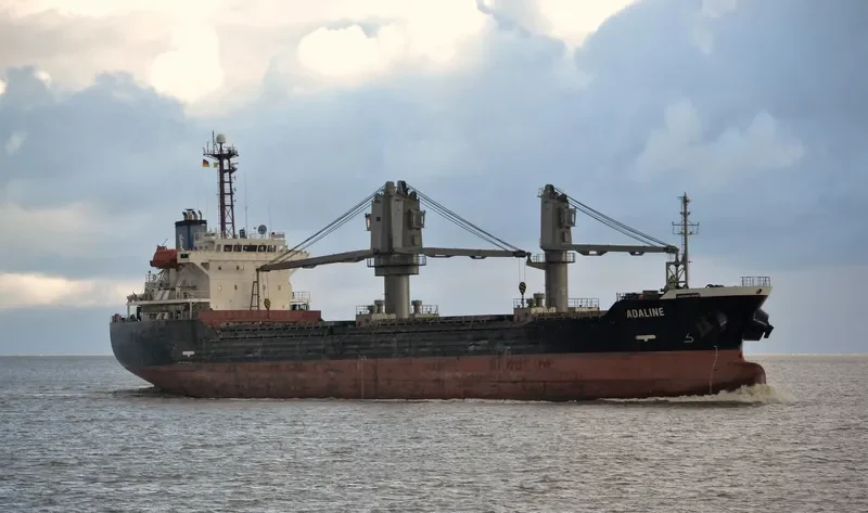 ADALINE Bulk Carrier IMO 9246920 photo 8