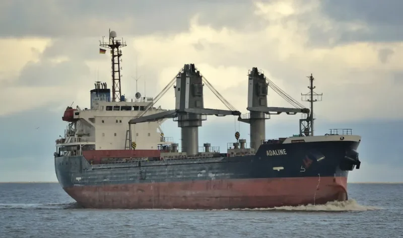 ADALINE Bulk Carrier IMO 9246920 photo 9