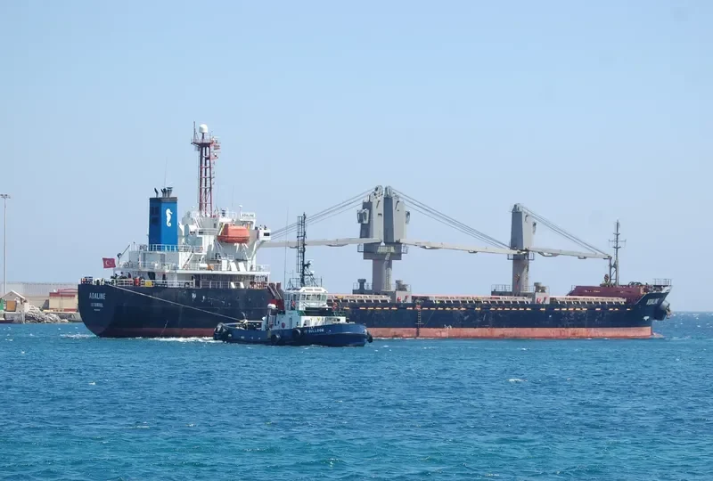 ADALINE Bulk Carrier IMO 9246920 photo 10