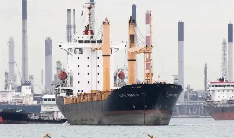 SUNNY DAHLIA Container Ship IMO 9247297 photo 4