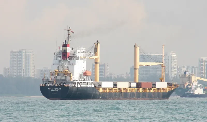 SUNNY DAHLIA Container Ship IMO 9247297 photo 5