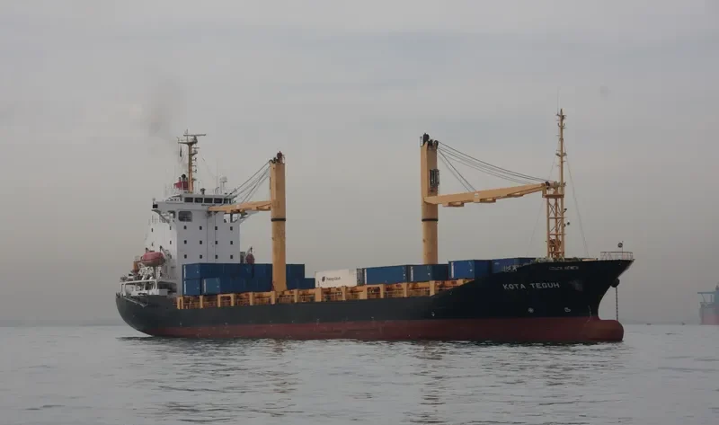 DONGJIN FIDES Container Ship IMO 9247302 photo 3