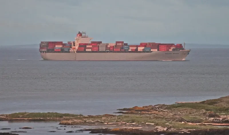 ENSENADA Container Ship IMO 9247546 photo 9
