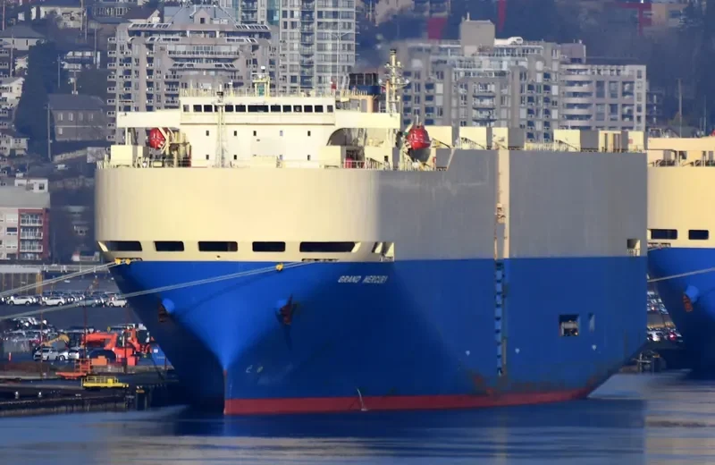 GRAND MERCURY General Cargo IMO 9247584 photo 4