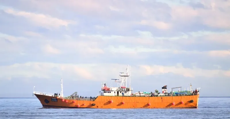 SIMEIZ General Cargo IMO 9247912 photo 7