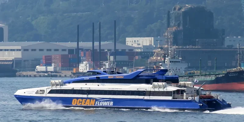OCEAN FLOWER Passenger Ship IMO 9248007 photo 3