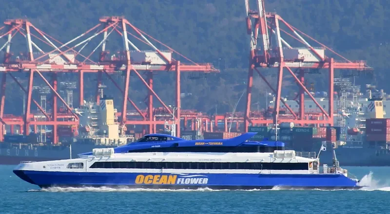 OCEAN FLOWER Passenger Ship IMO 9248007 photo 6