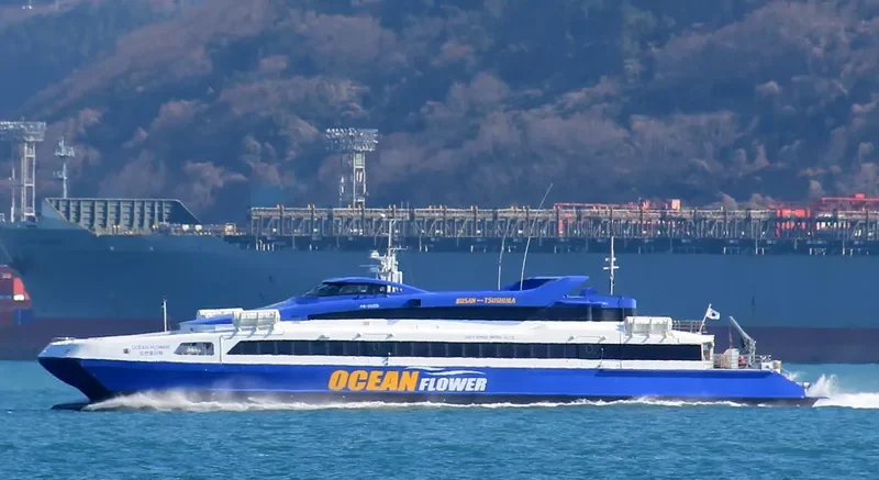 OCEAN FLOWER Passenger Ship IMO 9248007 photo 7