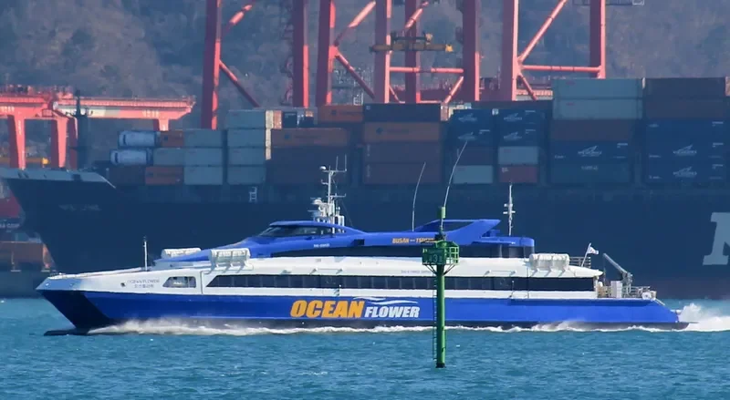 OCEAN FLOWER Passenger Ship IMO 9248007 photo 8