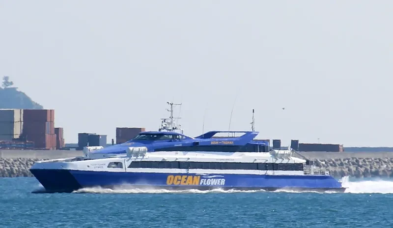 OCEAN FLOWER Passenger Ship IMO 9248007 photo 9