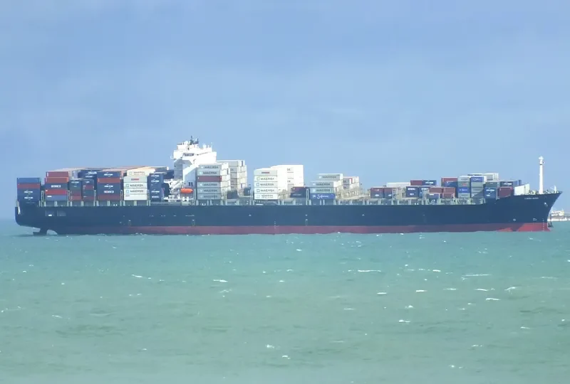 MAERSK YANGTZE Container Ship IMO 9248162 photo 3