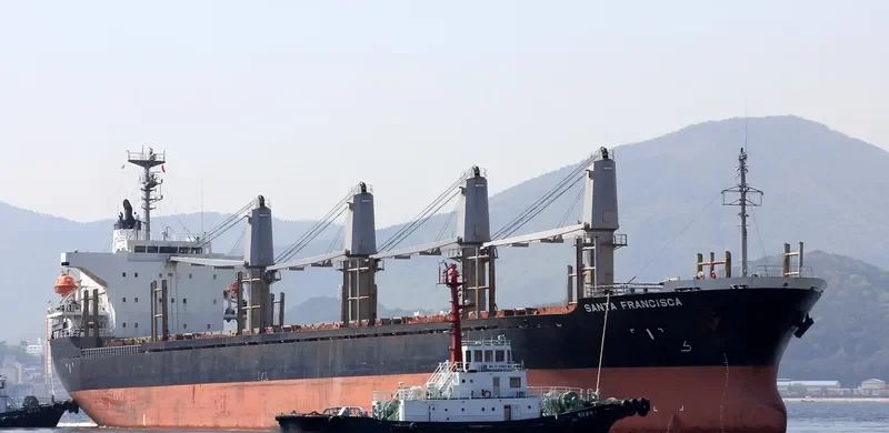 PACIFIC 01 Bulk Carrier IMO 9248198 photo 2