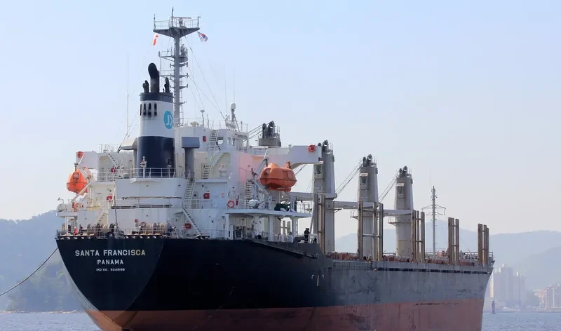 PACIFIC 01 Bulk Carrier IMO 9248198 photo 3
