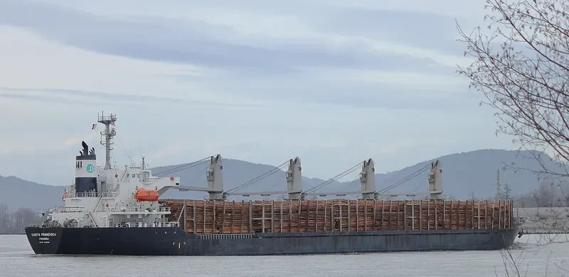 PACIFIC 01 Bulk Carrier IMO 9248198 photo 6