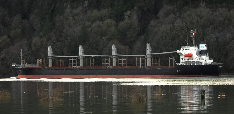 PACIFIC 01 Bulk Carrier IMO 9248198 photo 7