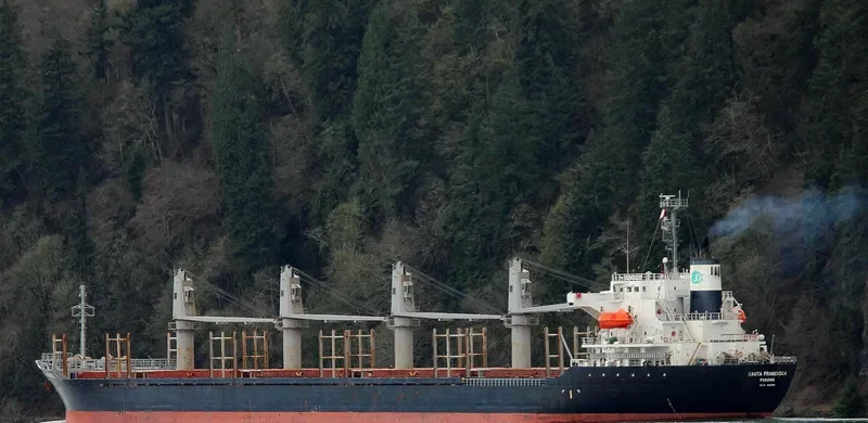 PACIFIC 01 Bulk Carrier IMO 9248198 photo 8