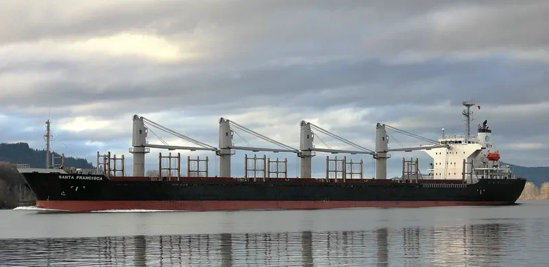 PACIFIC 01 Bulk Carrier IMO 9248198 photo 9