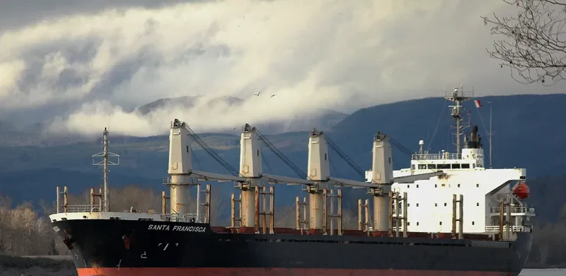 PACIFIC 01 Bulk Carrier IMO 9248198 photo 10