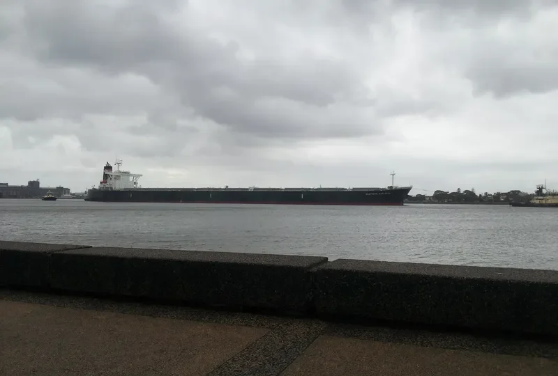 COUGAR Bulk Carrier IMO 9248459 photo 2