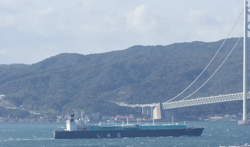 PUTERI FIRUS SATU General Cargo IMO 9248502 photo 8