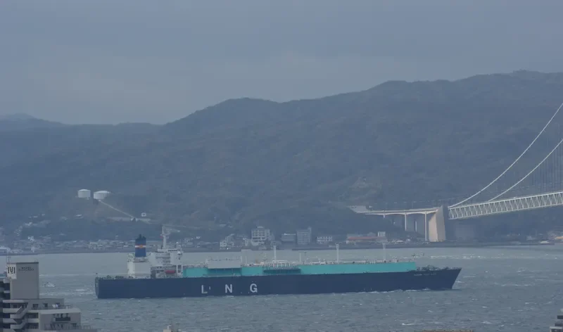 PUTERI FIRUS SATU General Cargo IMO 9248502 photo 9