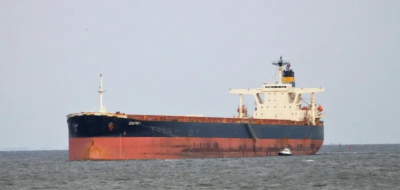 CAPRI Bulk Carrier IMO 9248526 photo 3