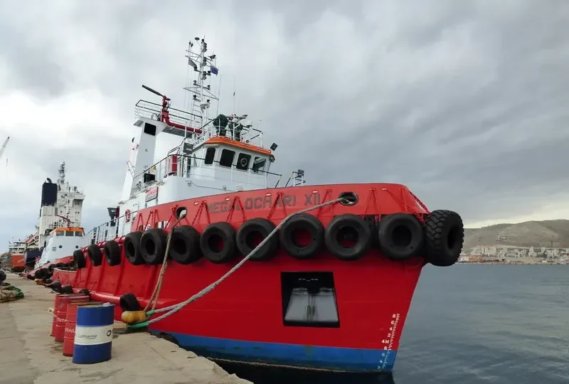 MEGALOCHARI XII General Cargo IMO 9248734 photo 3