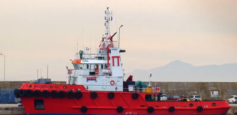 MEGALOCHARI XII General Cargo IMO 9248734 photo 8
