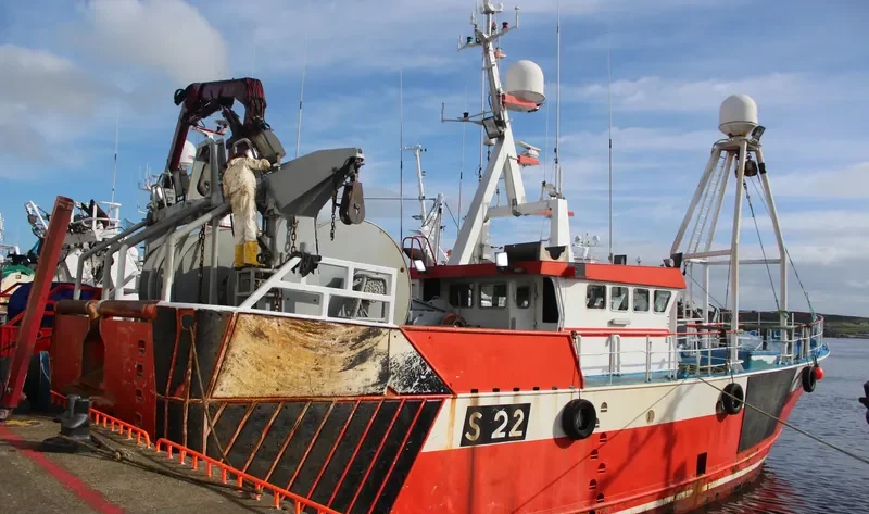 AITA MARI General Cargo IMO 9248851