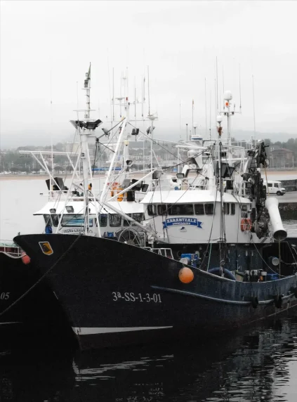 ARRANTZALE General Cargo IMO 9248887