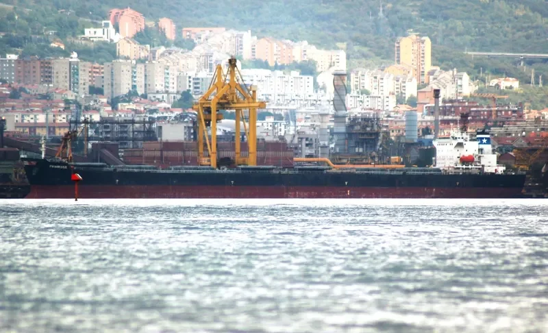 PRIMROSE Bulk Carrier IMO 9248899 photo 3