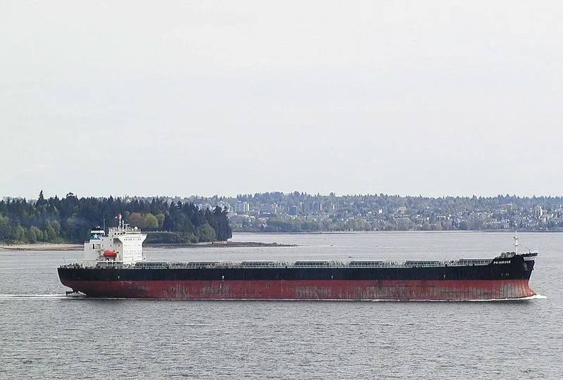 PRIMROSE Bulk Carrier IMO 9248899 photo 6