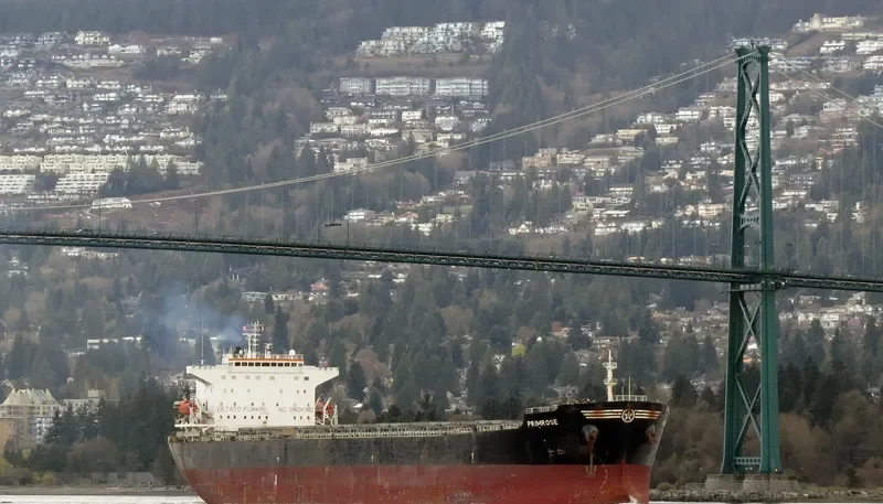PRIMROSE Bulk Carrier IMO 9248899 photo 7